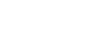 logo-ins